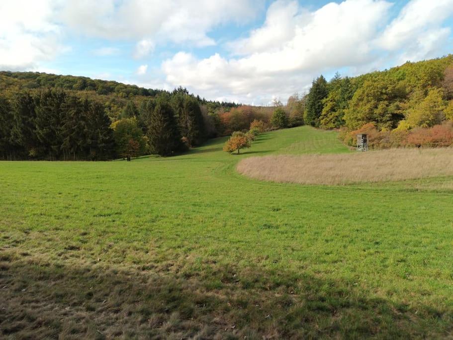 Ferienwohnung In Langgoens Langgons Экстерьер фото